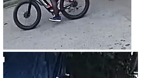 Persons of Interest Sought in Fatal Shooting at 3102 Rosalie Street